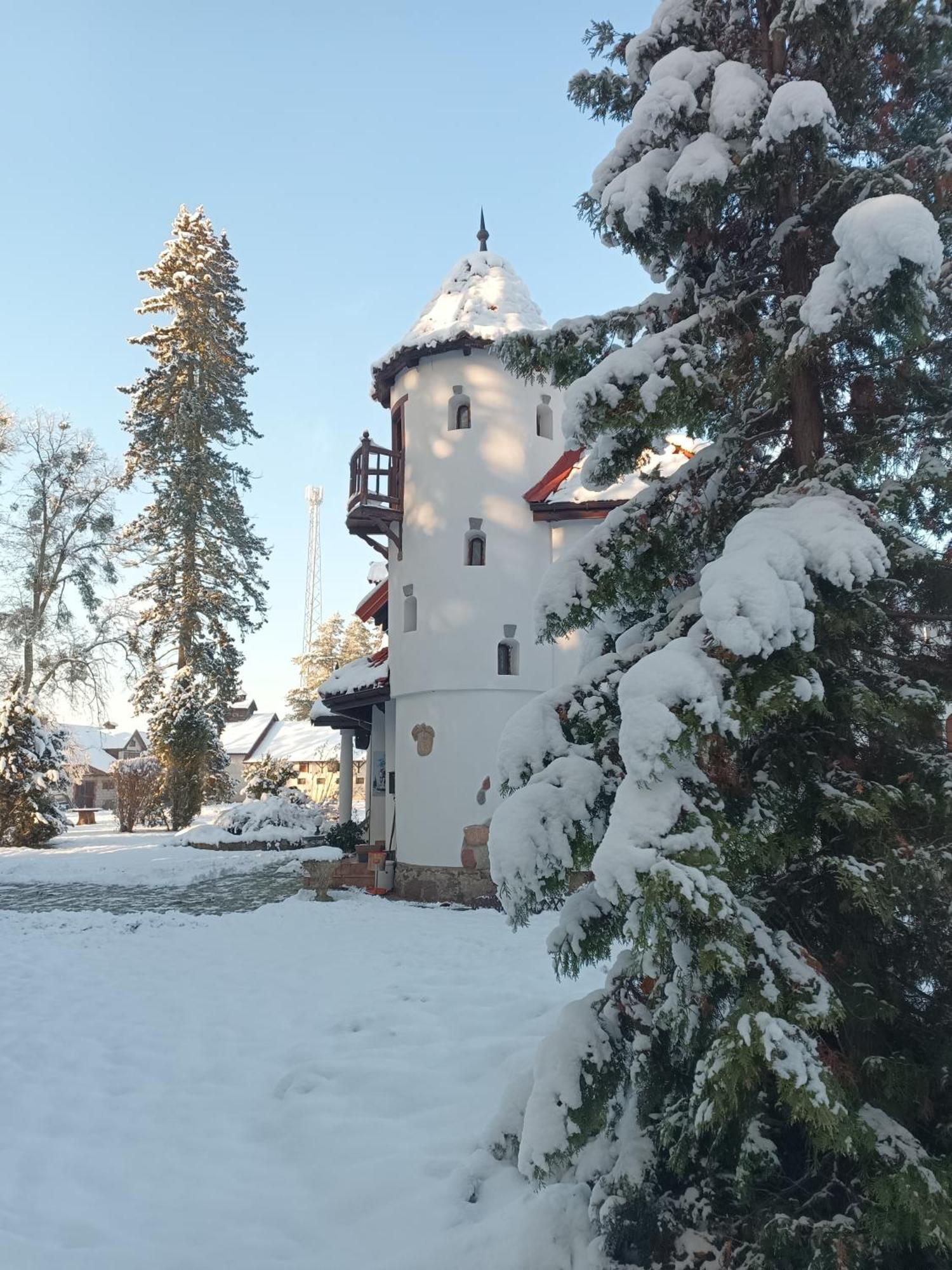 Pensjonat Wiking Stare Jabłonki Exterior foto